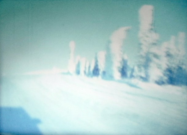 GeorgieFriedman-ArcticCircleStill2007