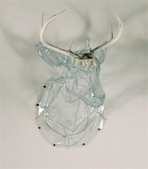 pitsch mapping absence (trophy)