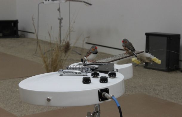 FreePort [No. 007]  Céleste Boursier-Mougenot