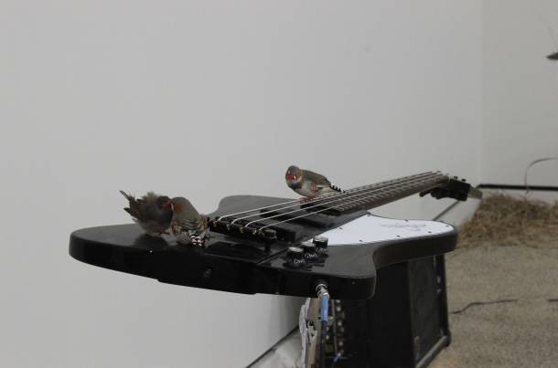 FreePort [No. 007]  Céleste Boursier-Mougenot