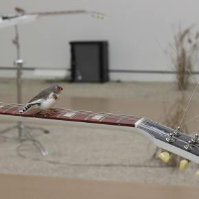 Céleste Boursier-Mougenot at&nbsp;PEM