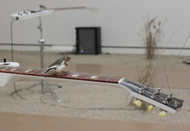 FreePort [No. 007]  Céleste Boursier-Mougenot