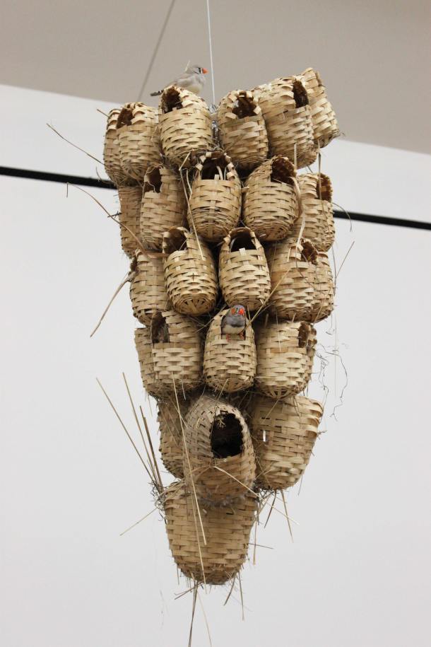 FreePort [No. 007]  Céleste Boursier-Mougenot