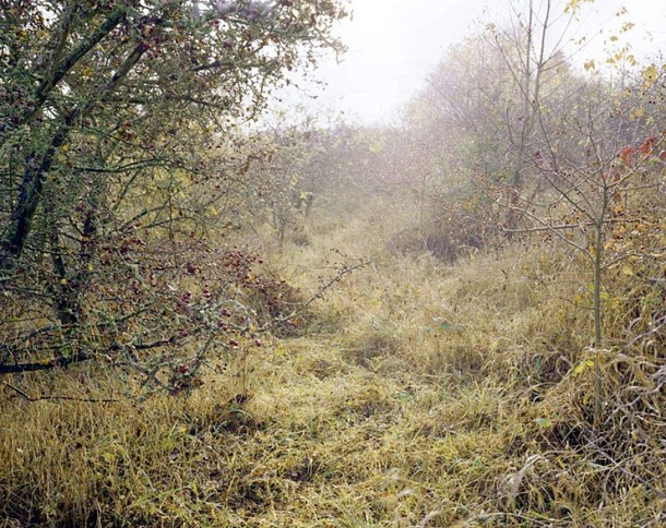 South from Camp Cinema