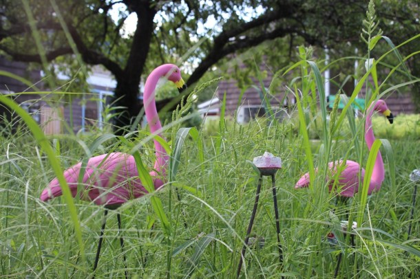 Andi Sutton, Assisted Flagration, a time-based installation and intervention, the DeCordova Sculpture Park and Museum, Lincoln, MA, 2013.