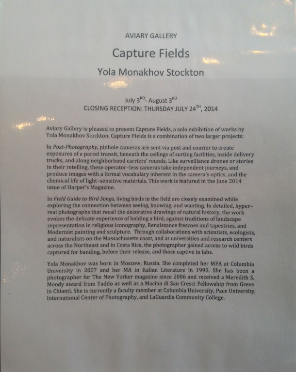 Yola Monakhov Stockton at Aviary