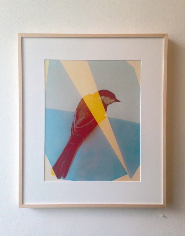 Yola Monakhov Stockton at Aviary