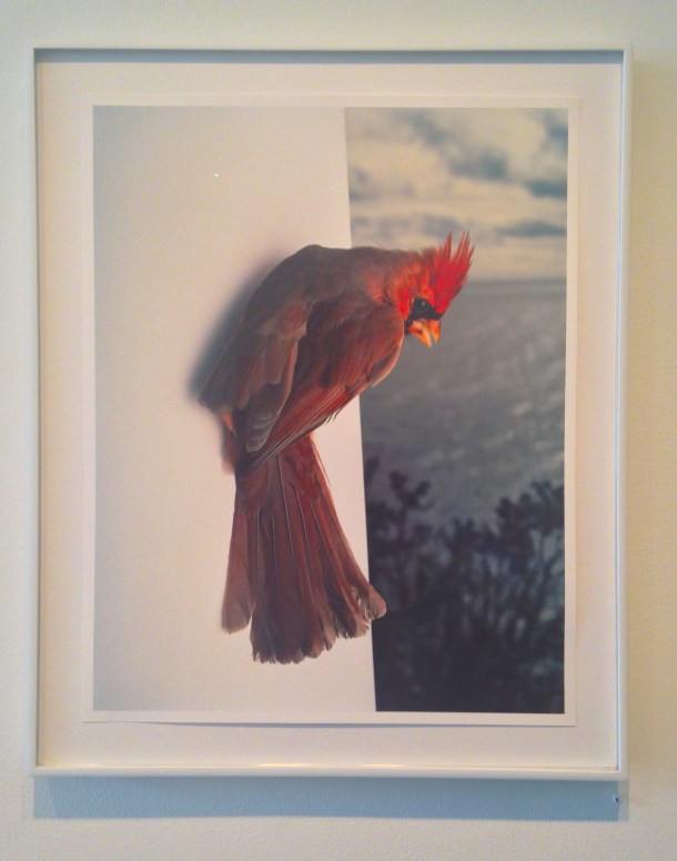 Yola Monakhov Stockton at Aviary