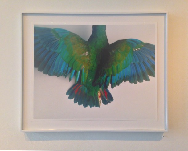 Yola Monakhov Stockton at Aviary