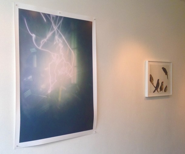 Yola Monakhov Stockton at Aviary