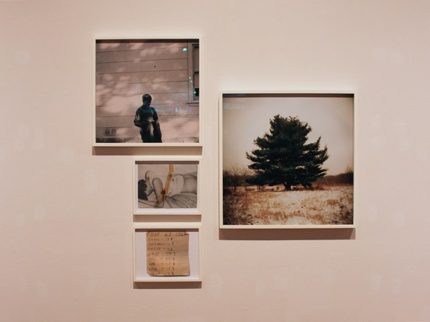 Todd Hido: Excerpts from Silver Meadows, Boston University Art Gallery, 2014