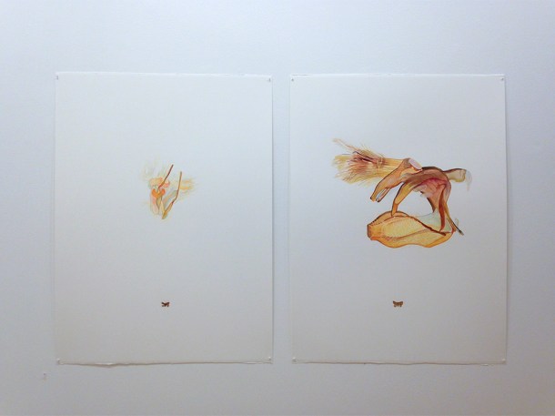 A.B. Minor, Bring to Light, Gallery Kayafas